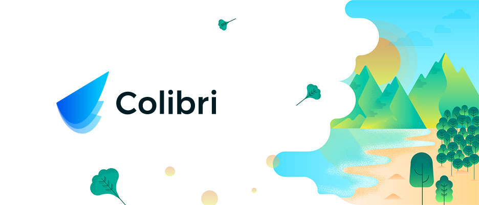 Webinar – 5 raisons qui font de Colibri le « Perfect Match » pour votre S&OP